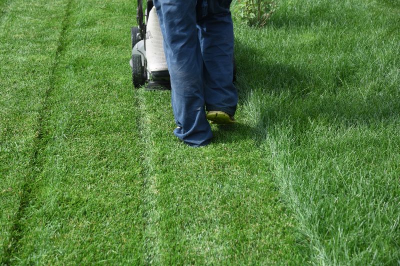 Elderly Lawn Mowing