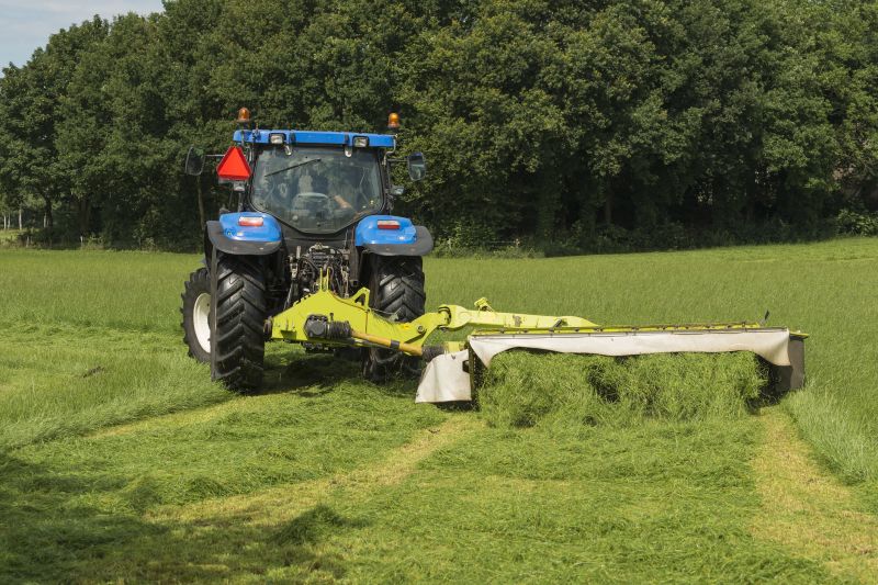 Brush Mowing Service in Prince Georges County, MD