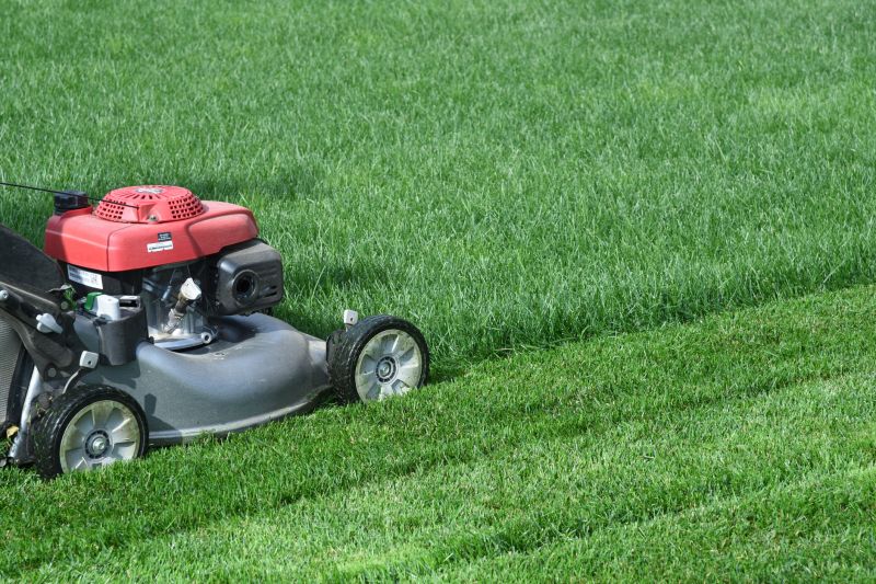Elderly Lawn Mowing