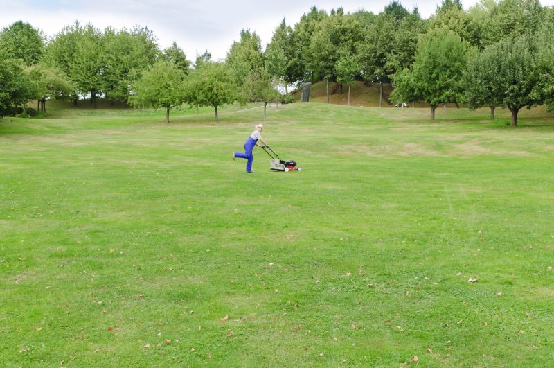 Elderly Lawn Mowing