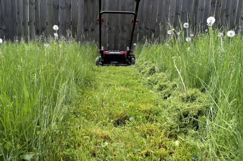 Elderly Lawn Mowing