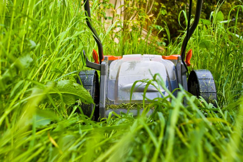 Elderly Lawn Mowing