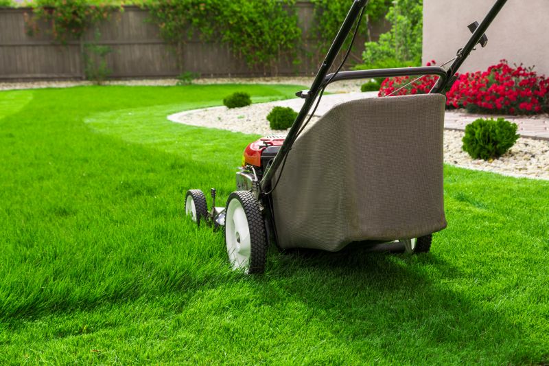 Elderly Lawn Mowing