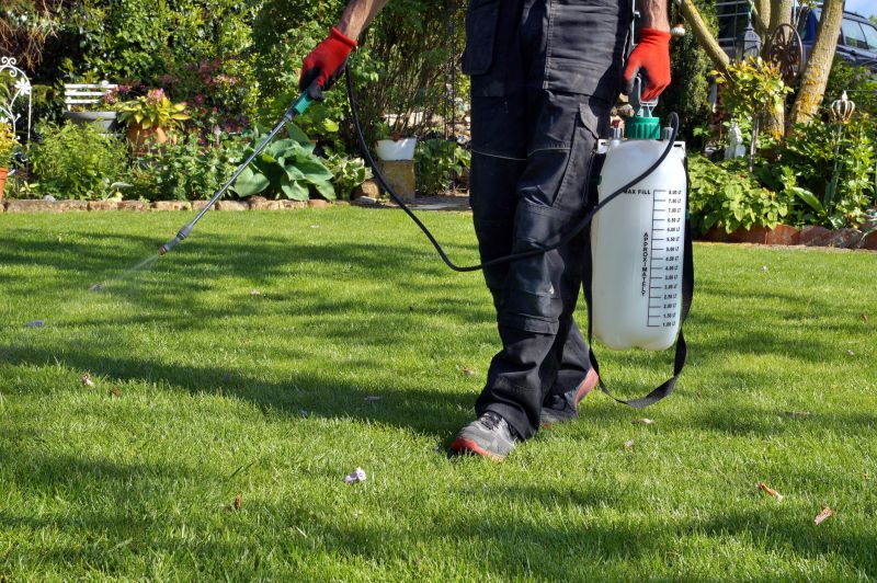 Lawn Moss Control in Ventura County, CA