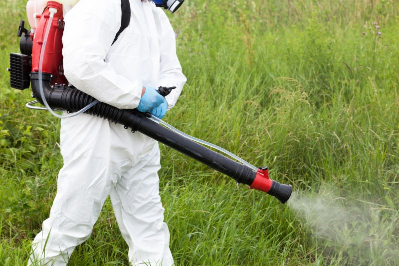 Pampas Grass Control in Rockwall, TX