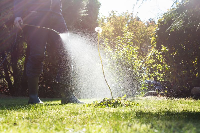 Pampas Grass Control in Rockwall, TX