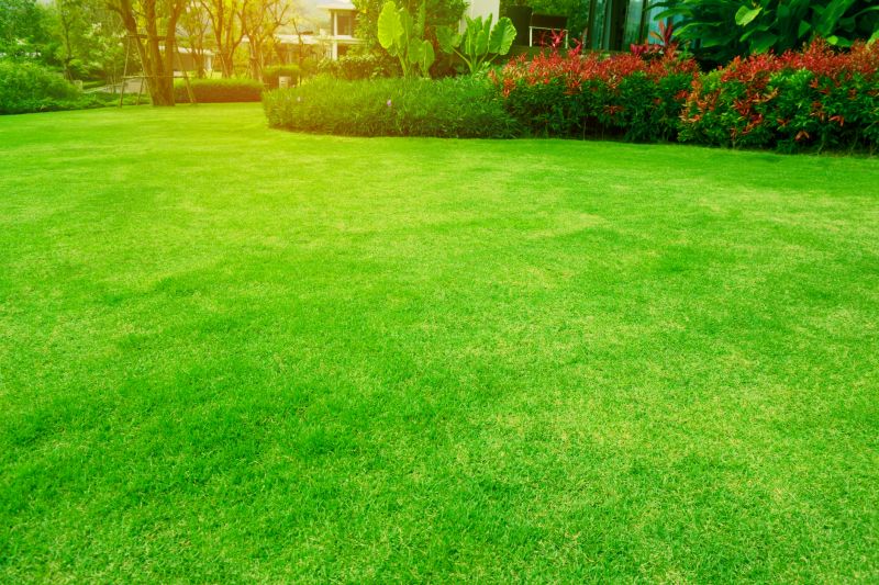 Seasonal Lawn Care in Bowie, MD