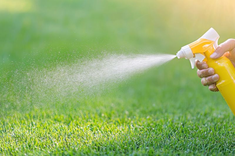 Weed Spraying in Aiken, SC