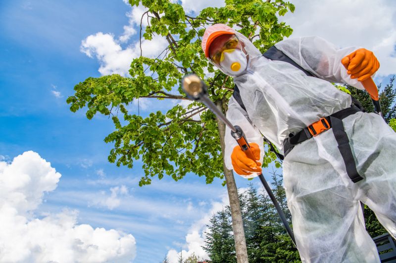 Weed Spraying in Rockwall, TX