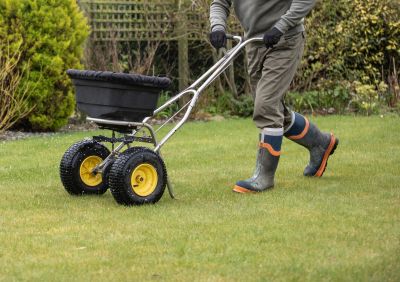 Yard Improvement Service in Ventura County, CA