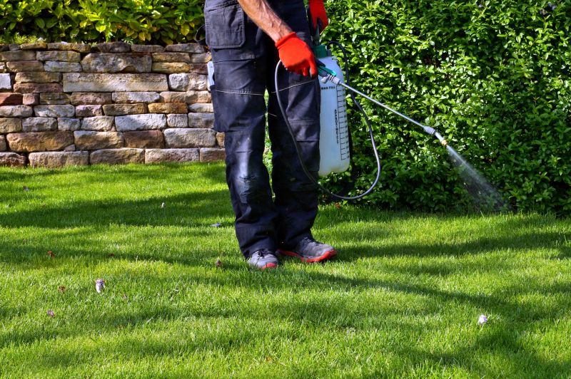 Slope Weed Control in Honolulu, HI