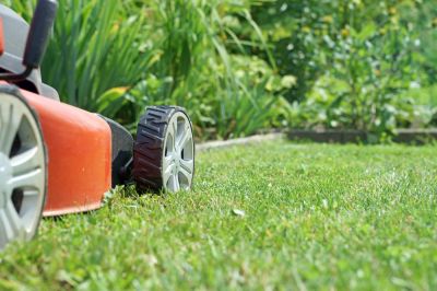 Senior Citizens Can Avoid Dangerous Tasks, Such as Lawn Mowing!