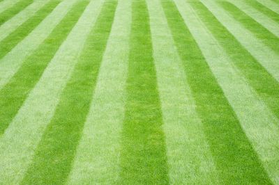 Enjoy the Benefits of a Well Manicured Lawn Without the Risk of Hurting Yourself or Overstraining Yourself!