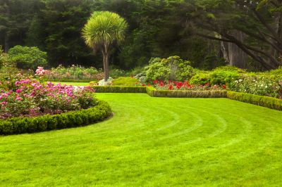 Save Time and Energy with Professional Lawn Mowing Services!